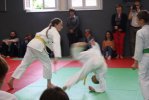 image IMG_3289.JPG