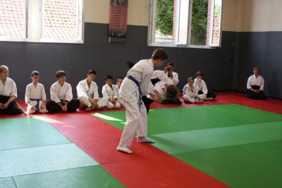 image IMG_0649.JPG