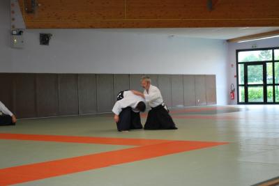 image DSC_0201.jpg