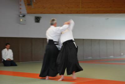 image DSC_0216.jpg