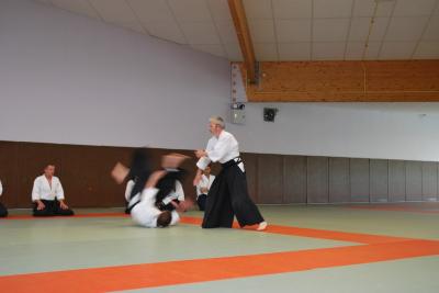 image DSC_0231.jpg