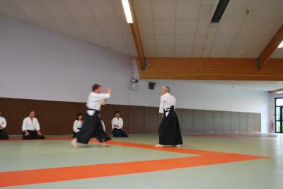image DSC_0233.jpg