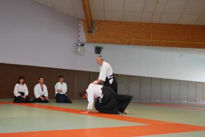 image DSC_0240.jpg