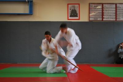 image DSC_0337.JPG