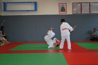 image DSC_0345.JPG