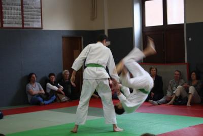 image IMG_3268.JPG